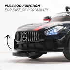 MERCEDES-AMG GT4 (Black)