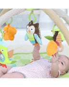 Skip Hop Baby Activity Gym-Treetop Friends-Multi Sensory Stimulation-Indoor Toy-0M+
