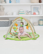 Skip Hop Baby Activity Gym-Treetop Friends-Multi Sensory Stimulation-Indoor Toy-0M+