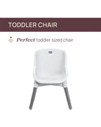 Chicco Polly Zest Baby High Chair-With Feeding Chair, Youth Stool & Baby Chair Mode- 5 Point Harness-Removable Tray-For 6M to 8Y (Upto 40 kg)-Moon Grey