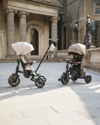 Qplay Comfo Max 7-in-1 Trike-Height Adjustable Parent Handle Bar-360 Degrees Rotating Seat-Adjustable Backrest-Foldable Frame-With Detachable Backpack-For 10M to 6Y (Upto 25 Kg)-Beige