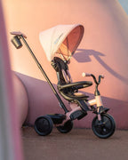 Qplay Elite Platinum 6 in 1 Trike-Height Adjustable Parent Handle Bar-360 Degrees Rotating Seat-5 Point Harness-For 10M to 6Y (Upto 25 Kg)-Pink