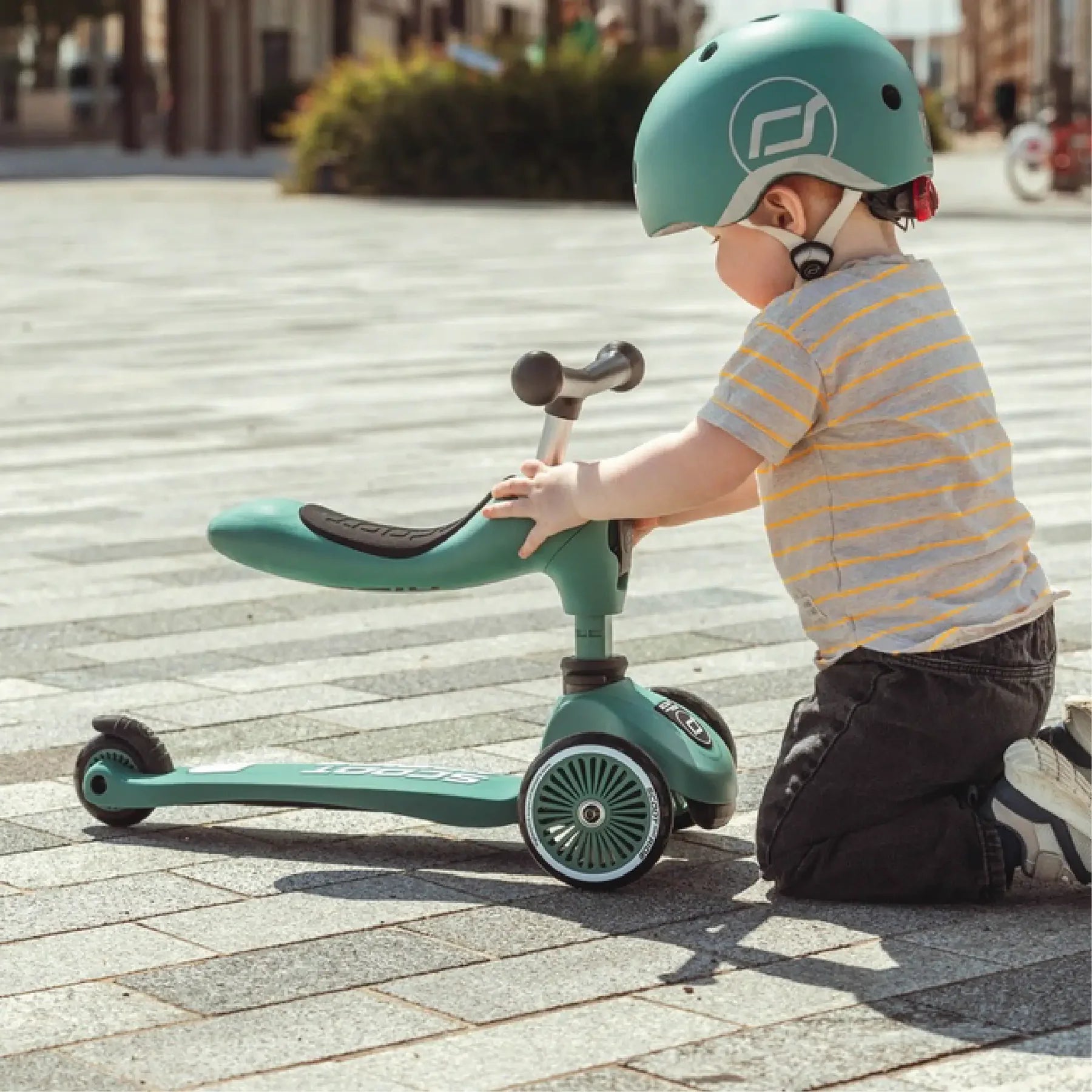 Scoot and Ride Highwaykick 1 - Forest