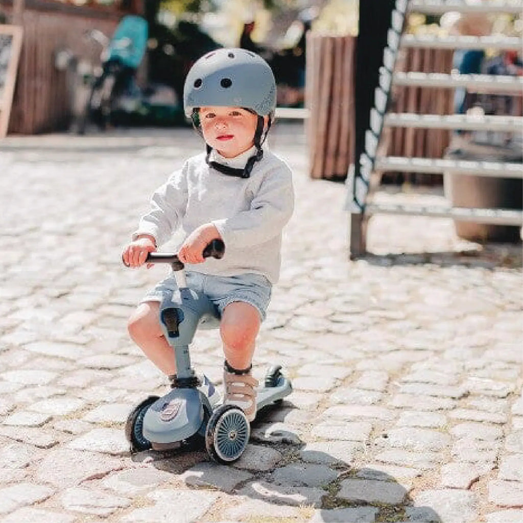 Scoot and Ride Highwaykick 1 - Steel