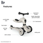 Scoot and Ride Highwaykick 1 - Ash
