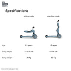 Scoot and Ride Highwaykick 1 - Steel