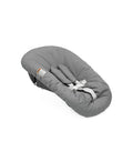 Stokke Tripp Trapp Newborn Set – Converts Tripp Trapp Chair into Infant Highchair from Birth, 5-Point Safety Harness with Soft Shoulder Pads, Angle Adjustable with One-Hand Trigger, Suitable for Newborns up to 9 kg-Anthracite